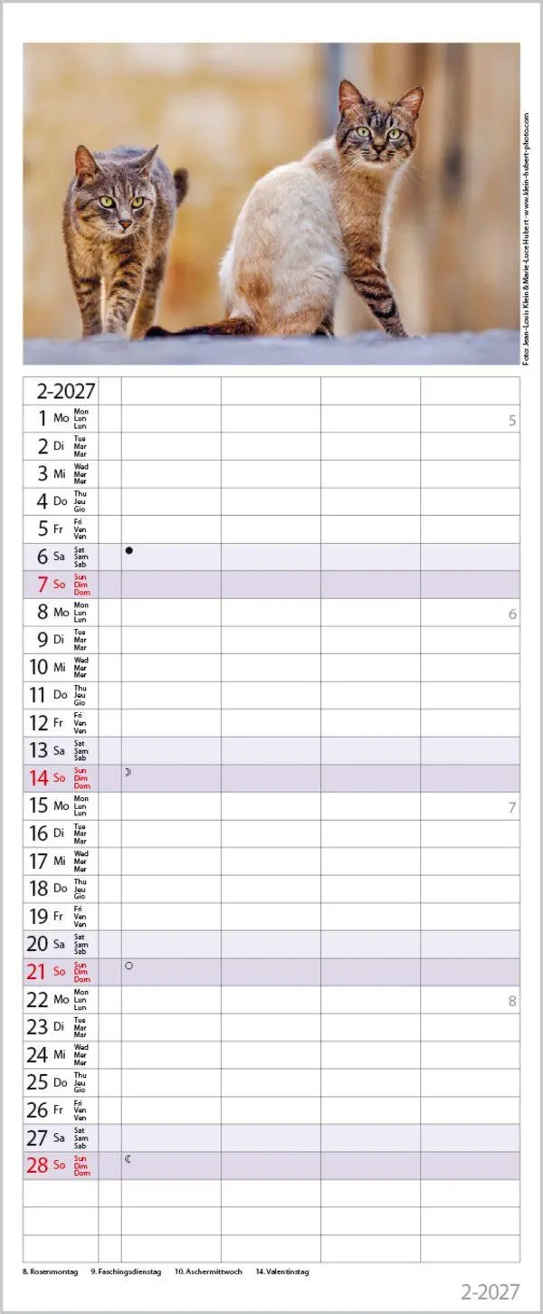Bild: 9783819304170 | Auf Samtpfoten durch's Jahr 2027 | Verlag Korsch | Kalender | 14 S.