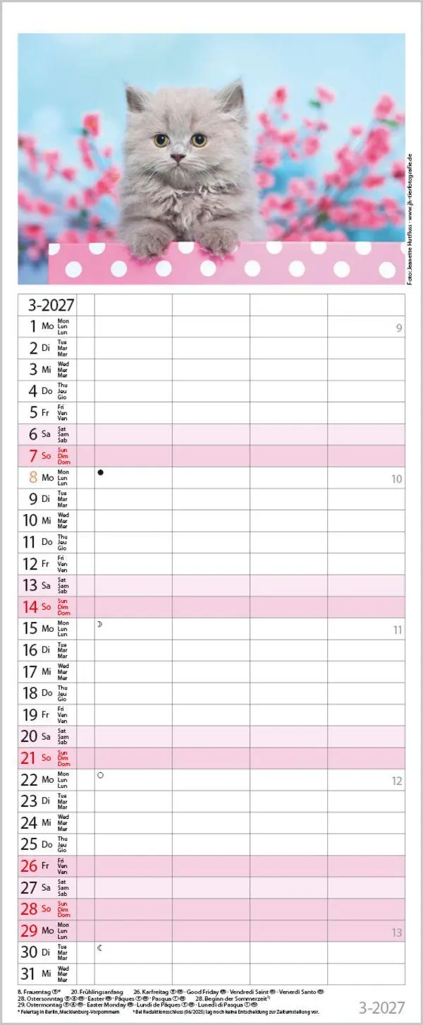 Bild: 9783819304170 | Auf Samtpfoten durch's Jahr 2027 | Verlag Korsch | Kalender | 14 S.