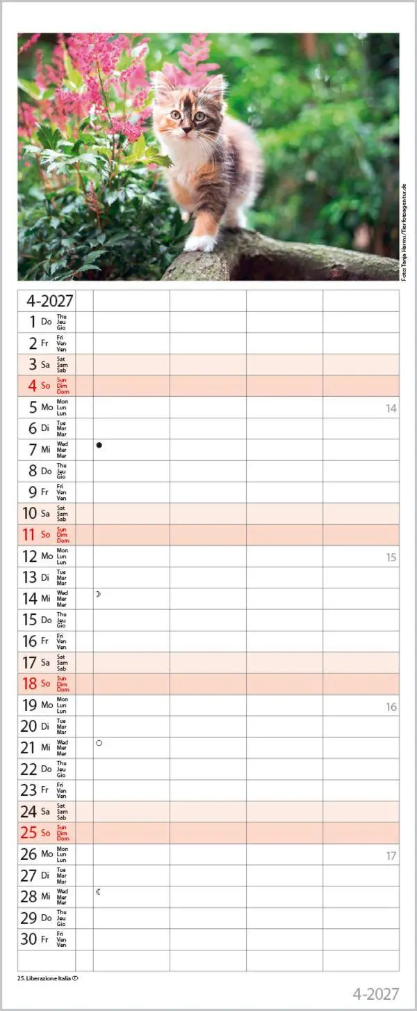 Bild: 9783819304170 | Auf Samtpfoten durch's Jahr 2027 | Verlag Korsch | Kalender | 14 S.