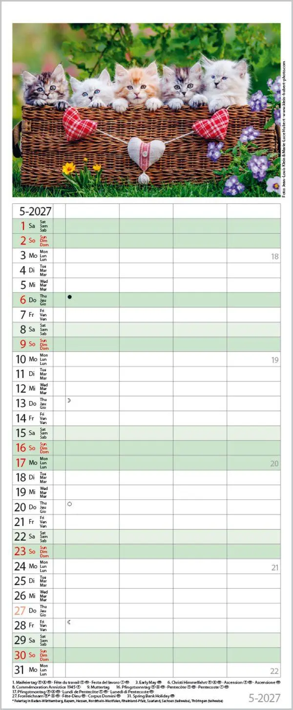 Bild: 9783819304170 | Auf Samtpfoten durch's Jahr 2027 | Verlag Korsch | Kalender | 14 S.