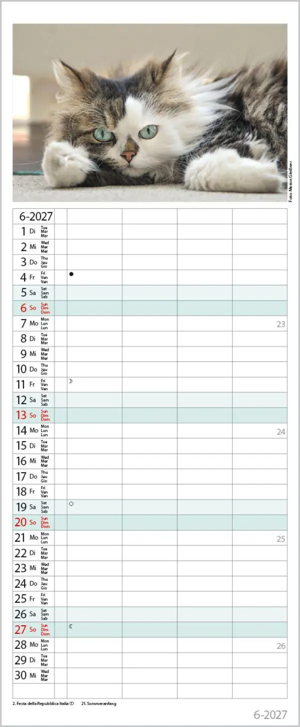 Bild: 9783819304170 | Auf Samtpfoten durch's Jahr 2027 | Verlag Korsch | Kalender | 14 S.