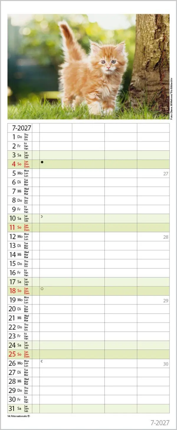 Bild: 9783819304170 | Auf Samtpfoten durch's Jahr 2027 | Verlag Korsch | Kalender | 14 S.