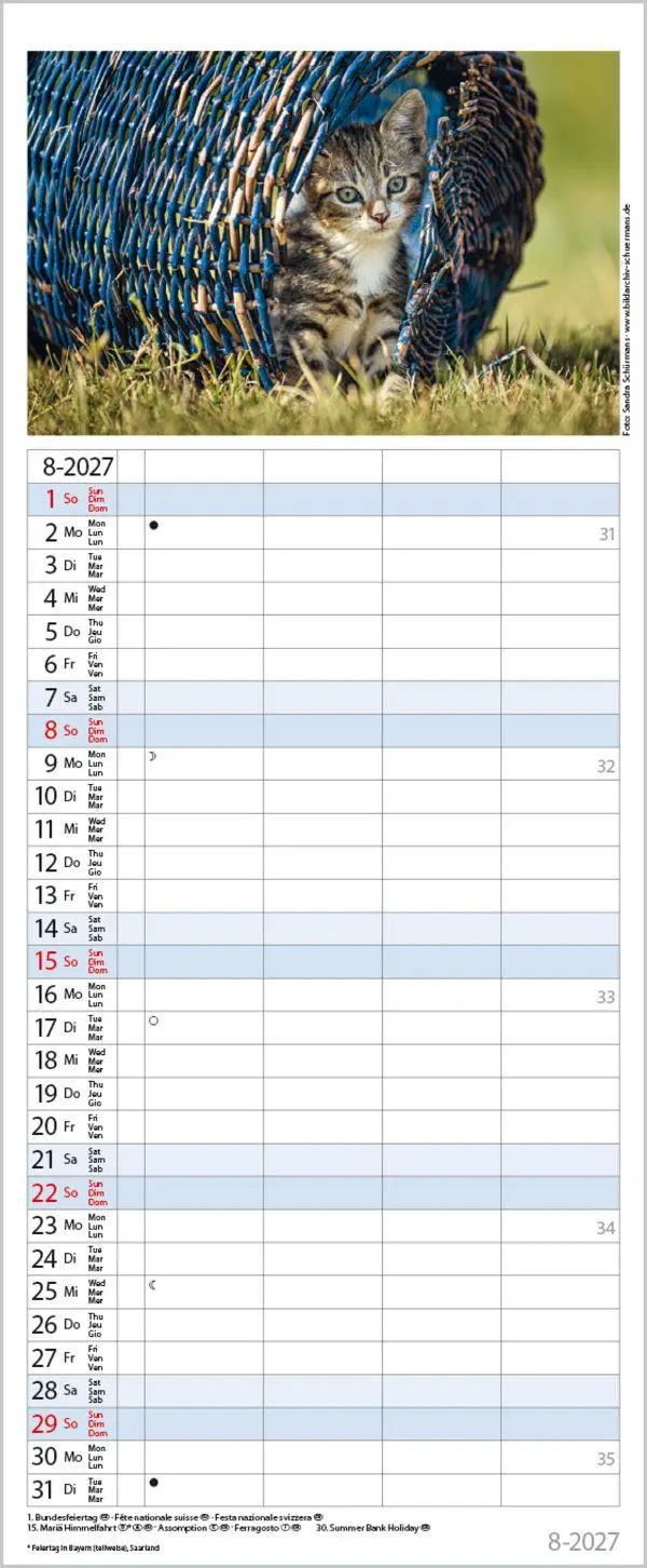 Bild: 9783819304170 | Auf Samtpfoten durch's Jahr 2027 | Verlag Korsch | Kalender | 14 S.