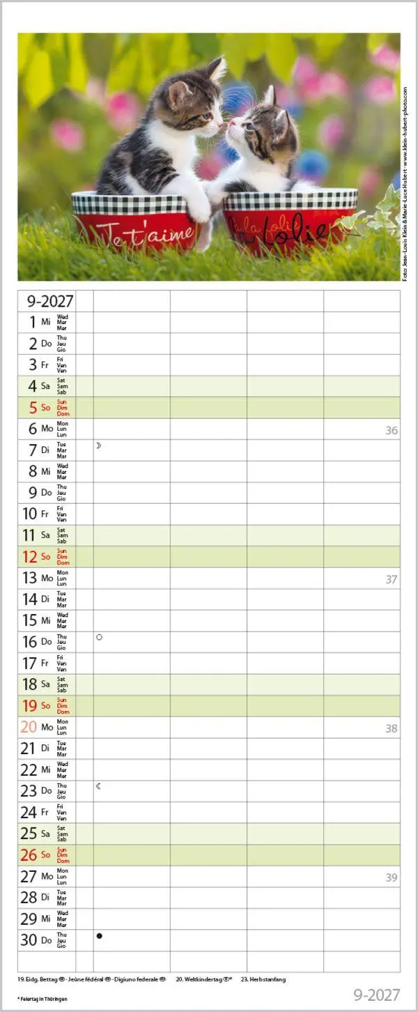 Bild: 9783819304170 | Auf Samtpfoten durch's Jahr 2027 | Verlag Korsch | Kalender | 14 S.