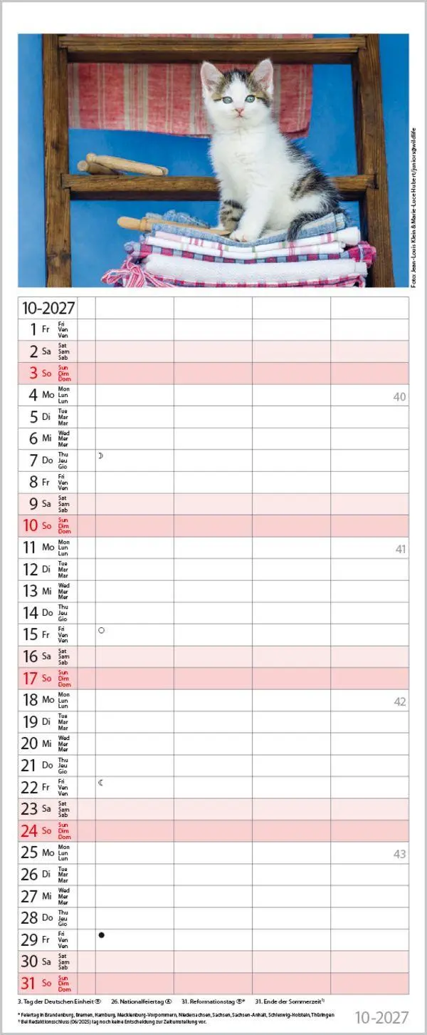 Bild: 9783819304170 | Auf Samtpfoten durch's Jahr 2027 | Verlag Korsch | Kalender | 14 S.