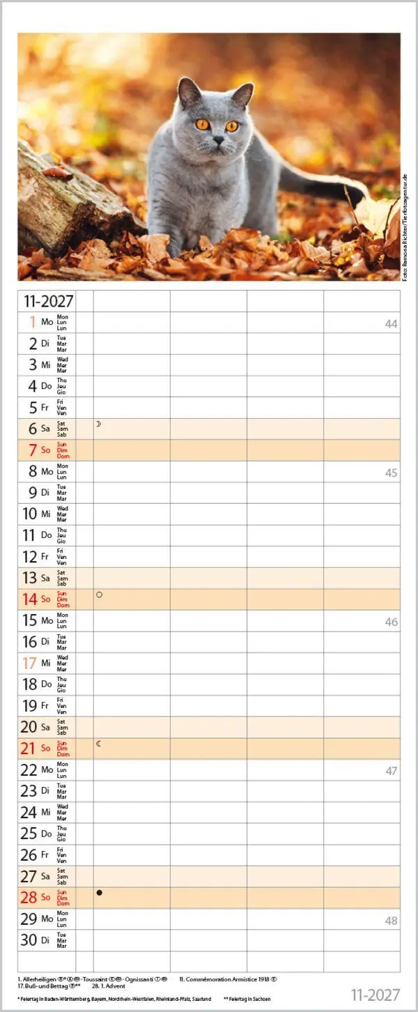 Bild: 9783819304170 | Auf Samtpfoten durch's Jahr 2027 | Verlag Korsch | Kalender | 14 S.