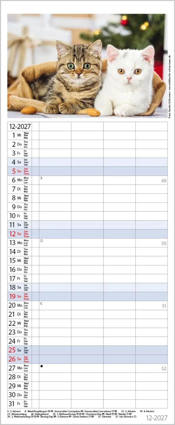 Bild: 9783819304170 | Auf Samtpfoten durch's Jahr 2027 | Verlag Korsch | Kalender | 14 S.
