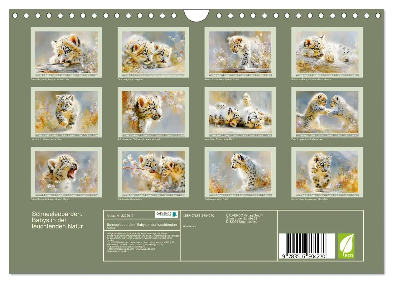 Bild: 9783516804270 | Schneeleoparden. Babys in der leuchtenden Natur (Wandkalender 2027...