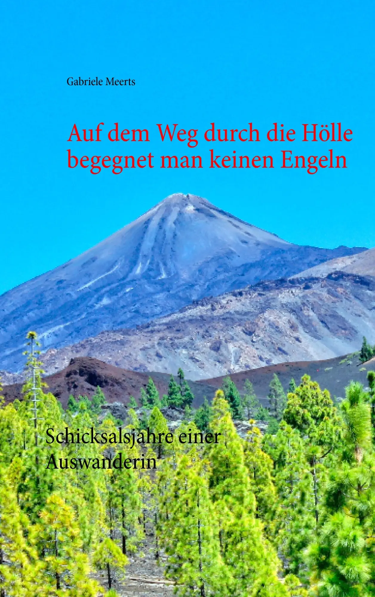 Cover: 9783844804270 | Auf dem Weg durch die Hölle begegnet man keinen Engeln | Meerts | Buch