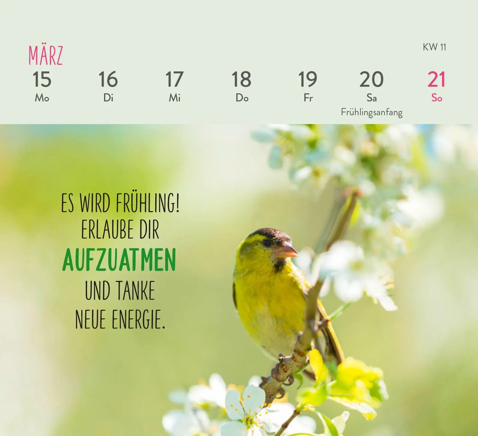 Bild: 4036442014370 | Mini-Wochenkalender 2027: Herzenswünsche für dich | Groh Verlag | 2027
