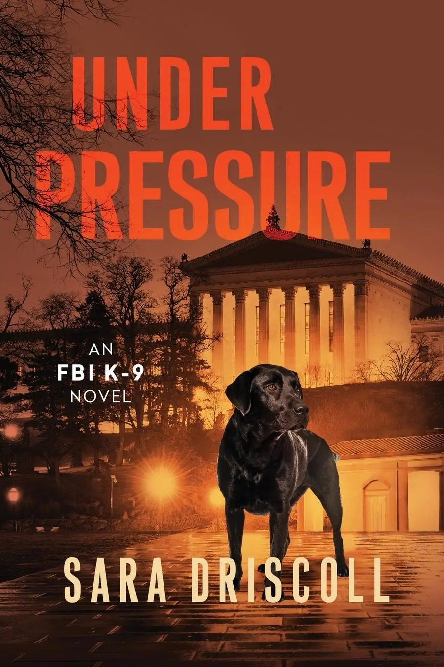 Cover: 9781496754370 | Under Pressure | A Spellbinding Crime Thriller | Sara Driscoll | Buch