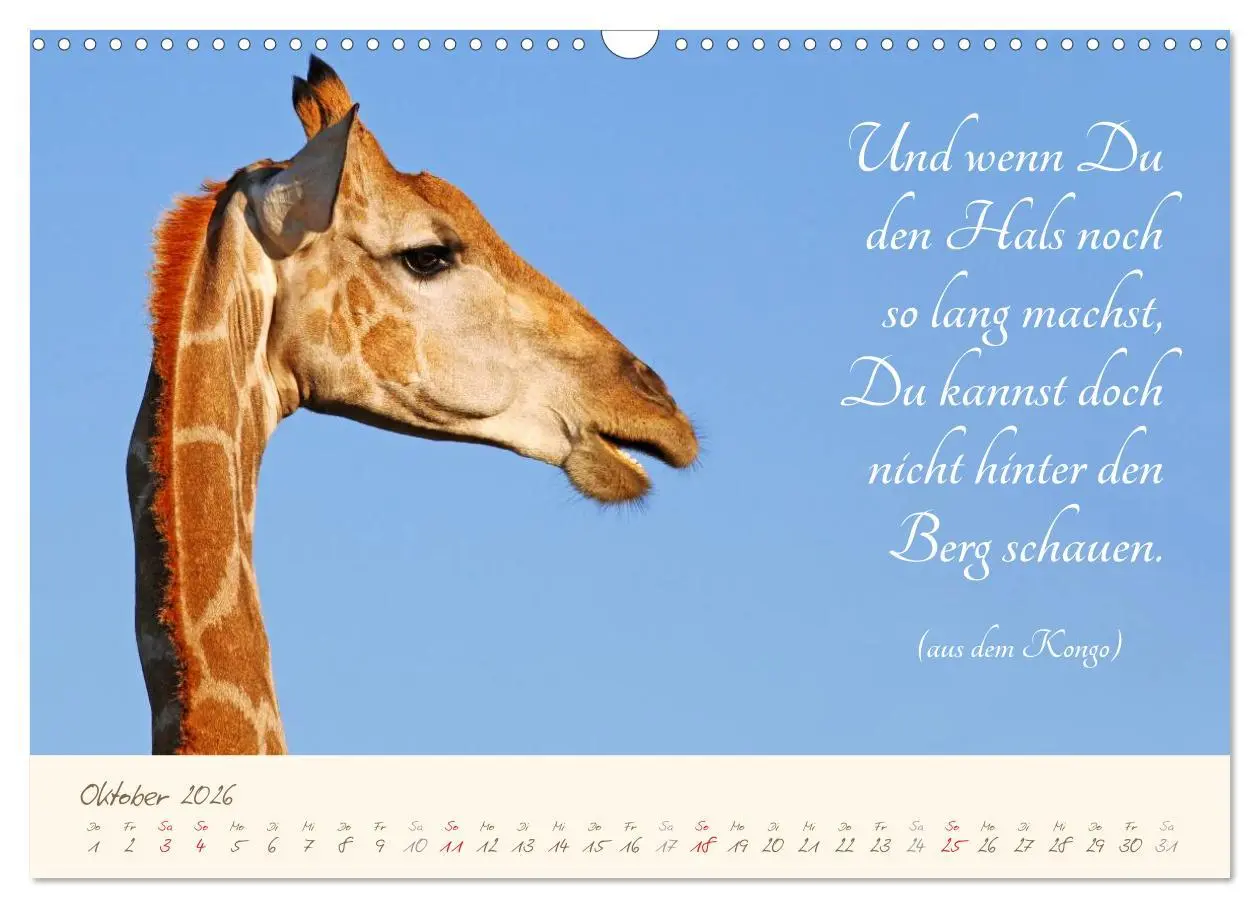 Bild: 9783457944370 | AFRIKA mit einem Hauch von Poesie (Wandkalender 2026 DIN A3 quer),...