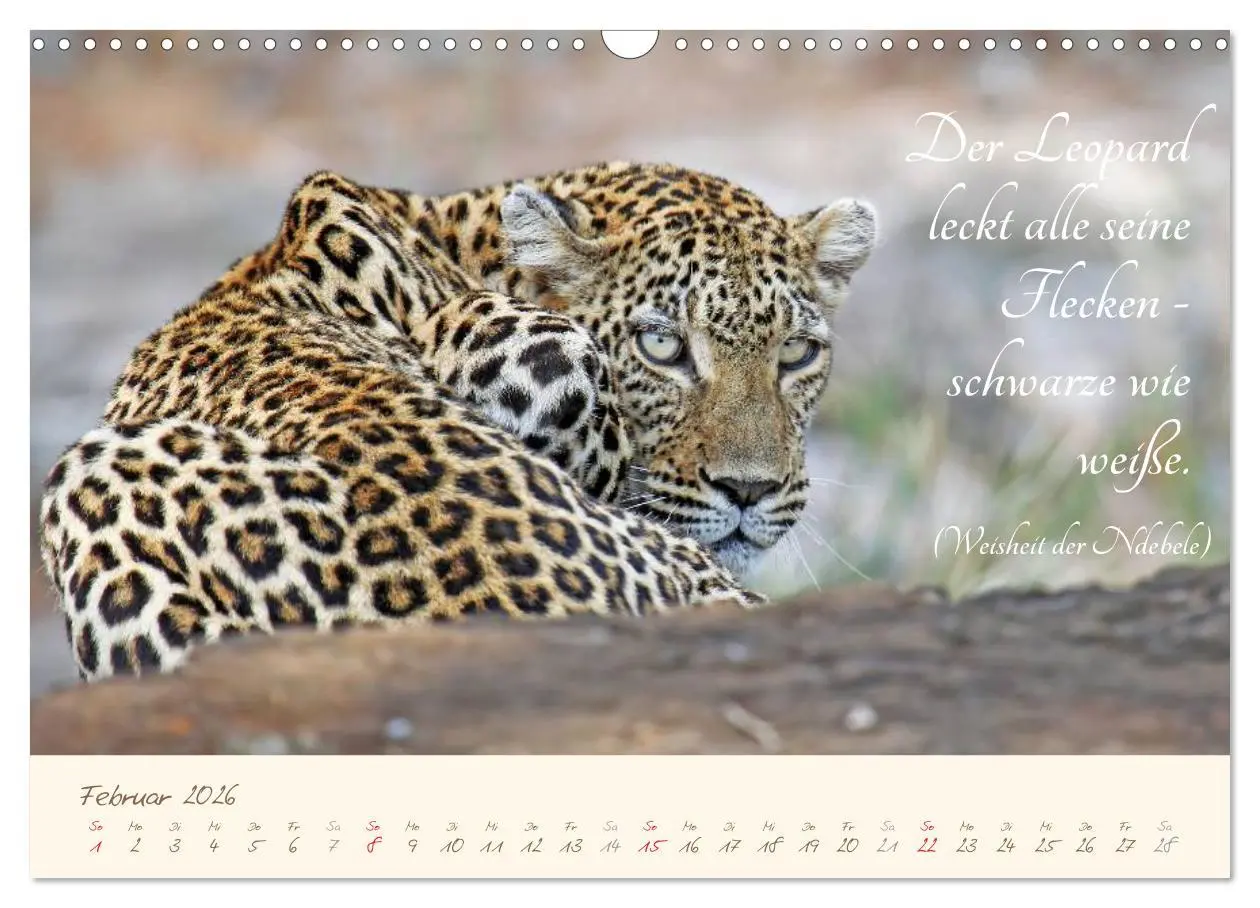 Bild: 9783457944370 | AFRIKA mit einem Hauch von Poesie (Wandkalender 2026 DIN A3 quer),...