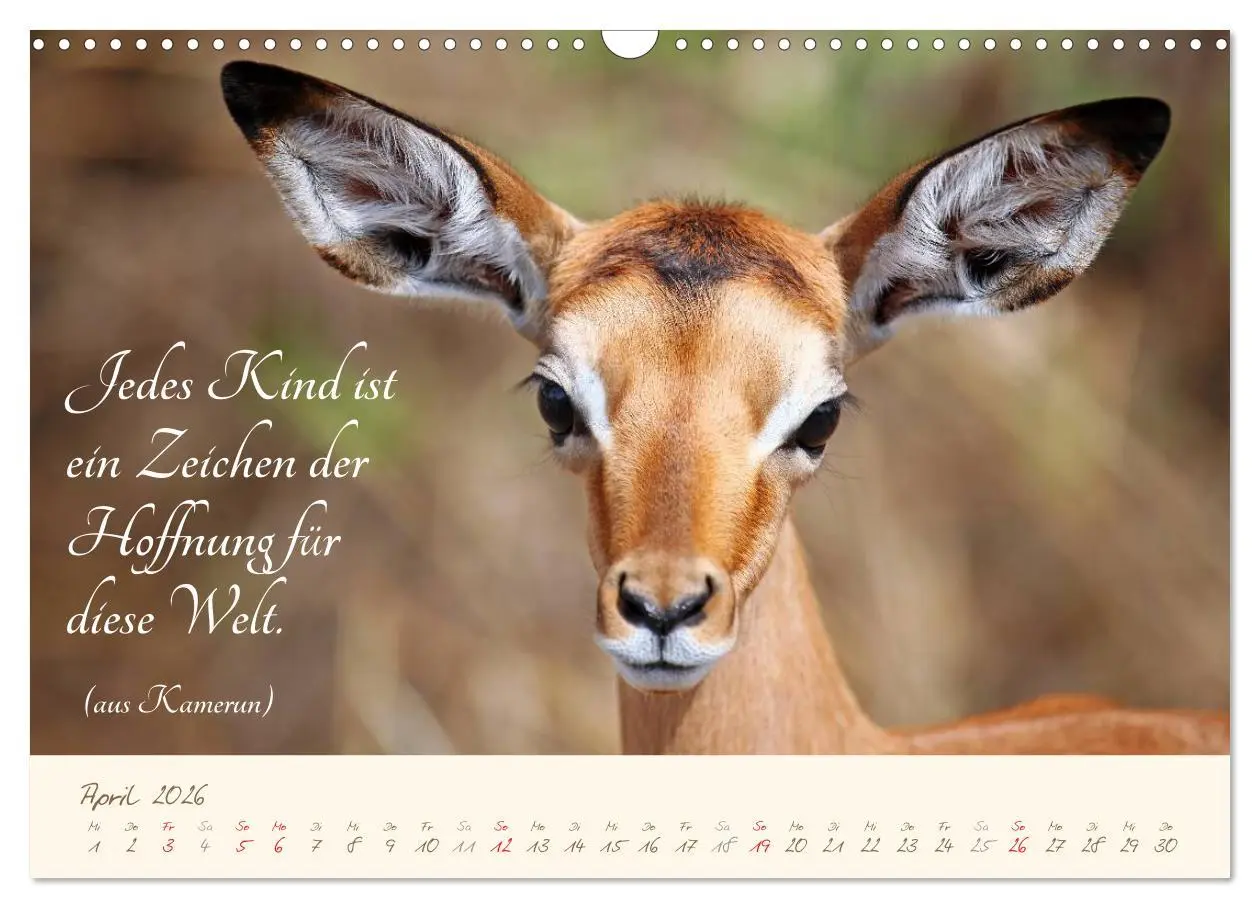 Bild: 9783457944370 | AFRIKA mit einem Hauch von Poesie (Wandkalender 2026 DIN A3 quer),...