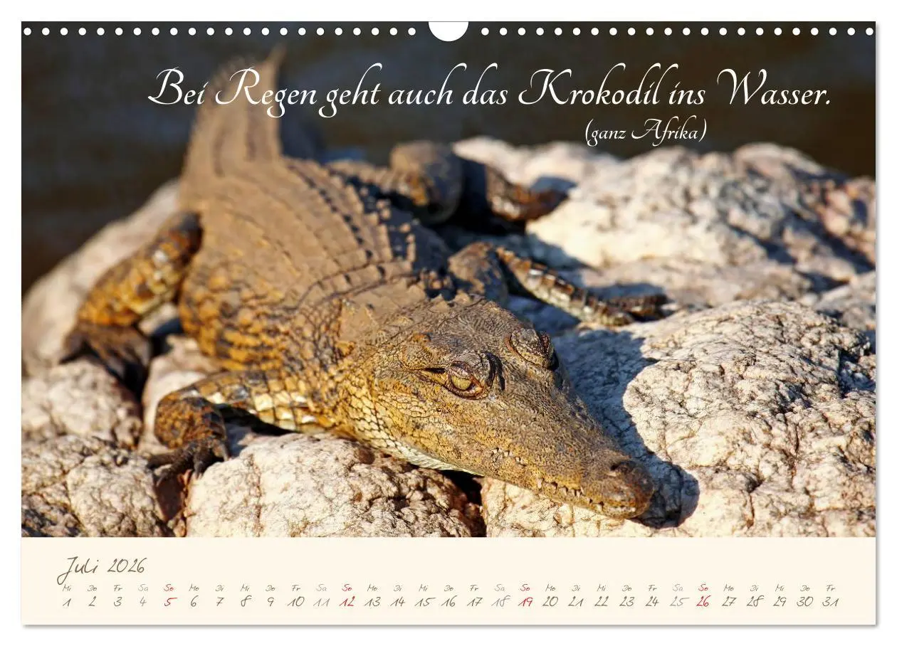Bild: 9783457944370 | AFRIKA mit einem Hauch von Poesie (Wandkalender 2026 DIN A3 quer),...