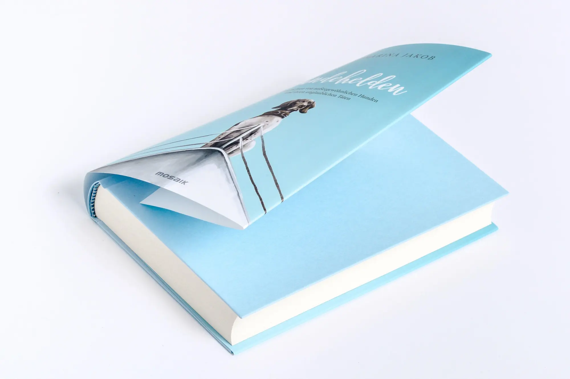 Bild: 9783442394470 | Hundehelden | Katharina Jakob | Buch | 288 S. | Deutsch | 2025