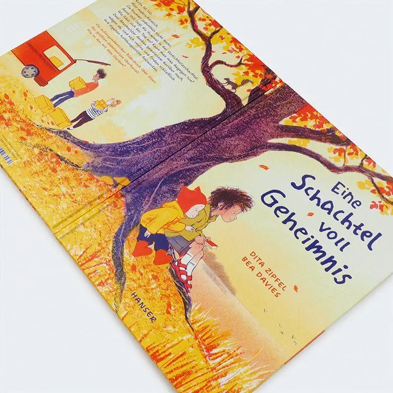 Bild: 9783446284470 | Eine Schachtel voll Geheimnis | Dita Zipfel (u. a.) | Buch | 48 S.