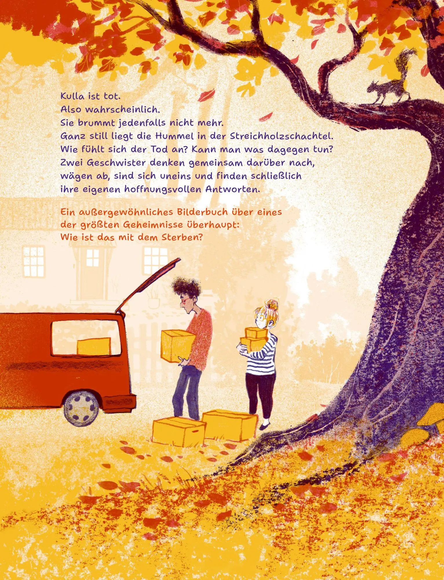 Bild: 9783446284470 | Eine Schachtel voll Geheimnis | Dita Zipfel (u. a.) | Buch | 48 S.