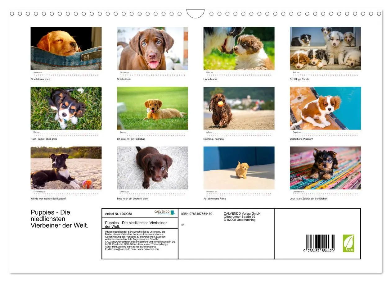 Bild: 9783457554470 | Puppies - Die niedlichsten Vierbeiner der Welt. (Wandkalender 2026...