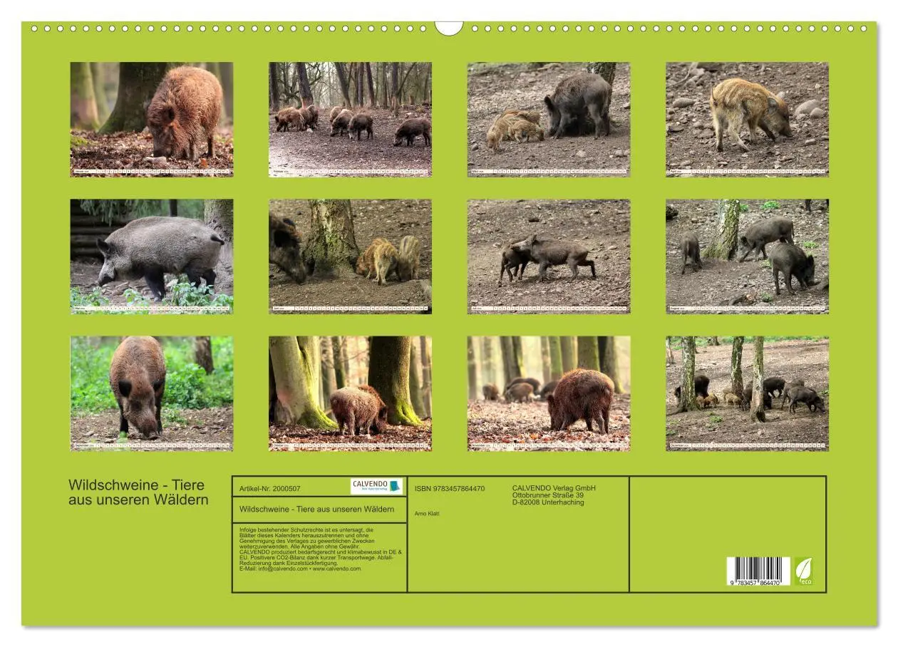 Bild: 9783457864470 | Wildschweine - Tiere aus unseren Wäldern (Wandkalender 2026 DIN A2...