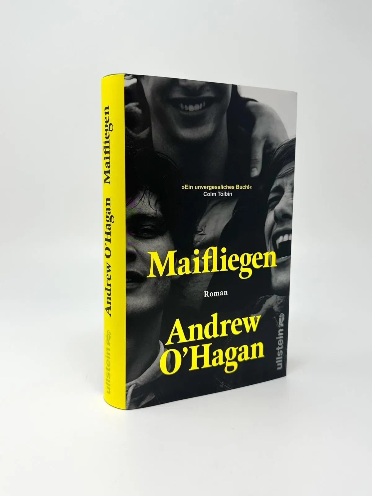 Bild: 9783550204470 | Maifliegen | Roman 'Ein unvergessliches Buch!' Cólm Toibín | O'Hagan