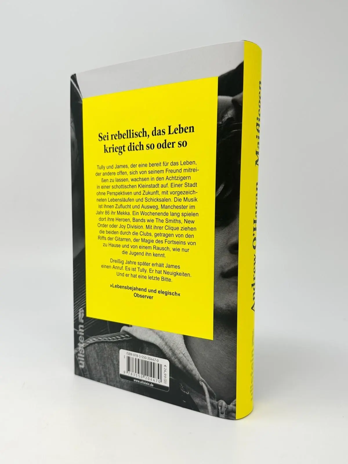 Bild: 9783550204470 | Maifliegen | Roman 'Ein unvergessliches Buch!' Cólm Toibín | O'Hagan
