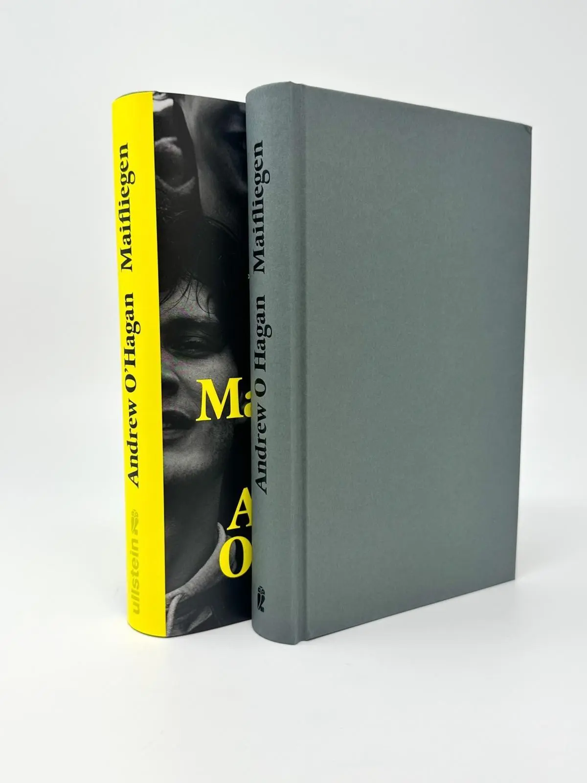 Bild: 9783550204470 | Maifliegen | Roman 'Ein unvergessliches Buch!' Cólm Toibín | O'Hagan