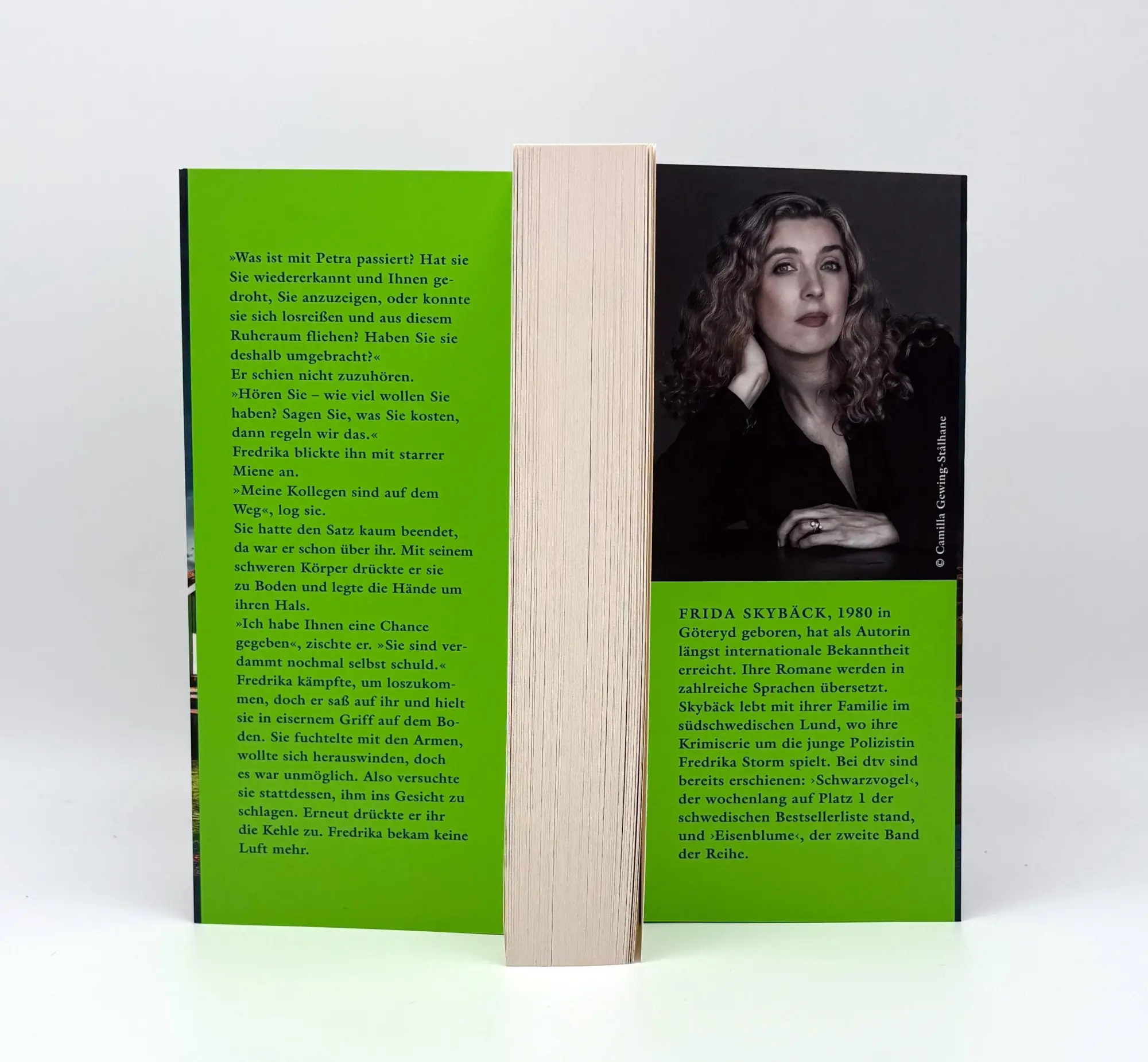 Bild: 9783423264570 | Schattenmädchen | Frida Skybäck | Taschenbuch | Fredrika Storm | 2026