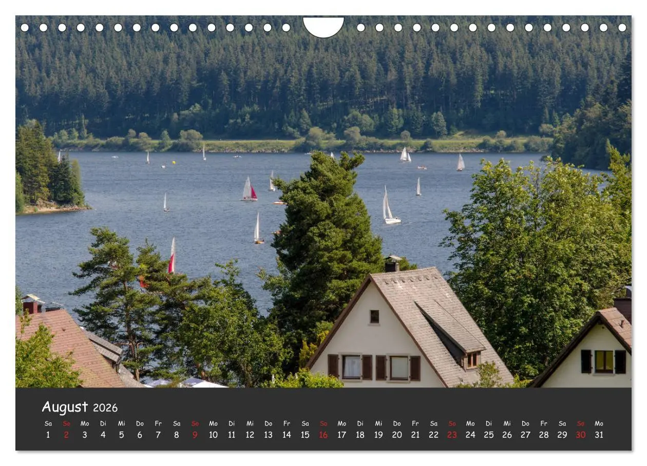 Bild: 9783457854570 | Schluchsee Naturpark Südschwarzwald (Wandkalender 2026 DIN A4...