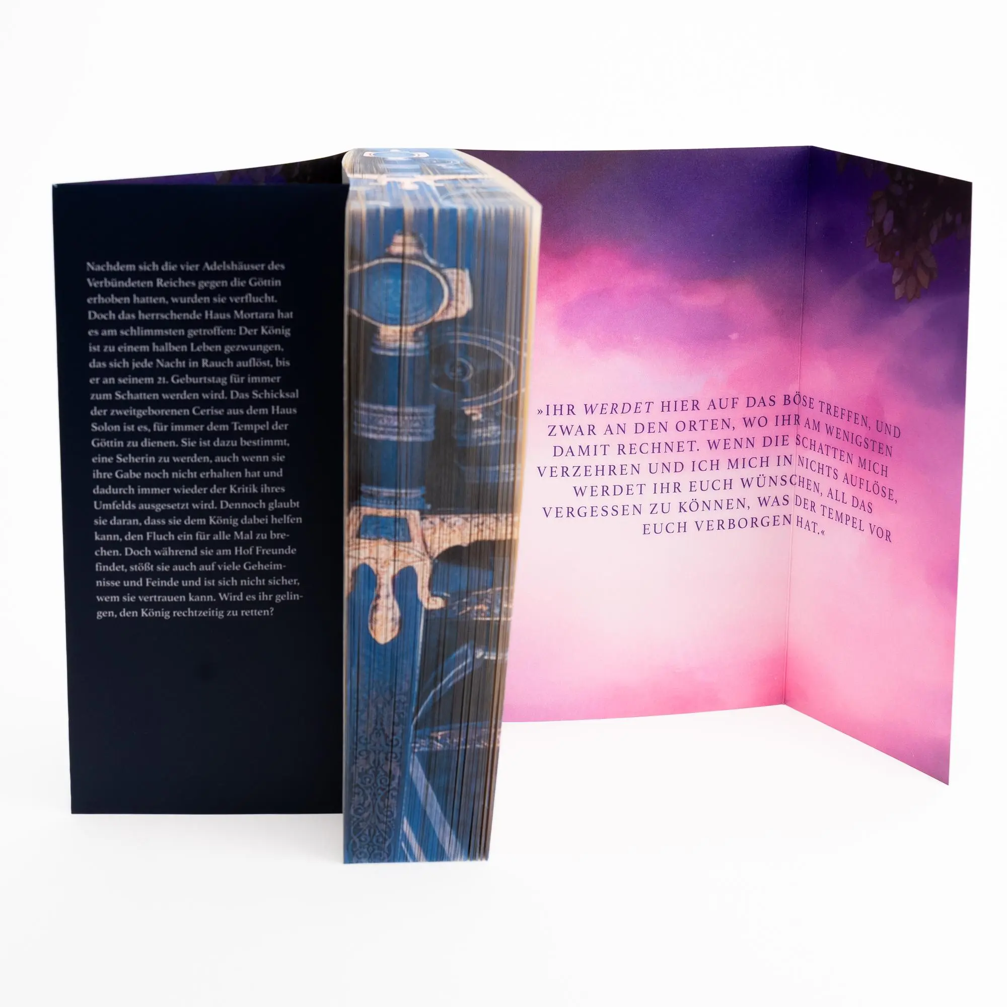 Bild: 9783745704570 | The Half King | Melissa Landers | Taschenbuch | 416 S. | Deutsch