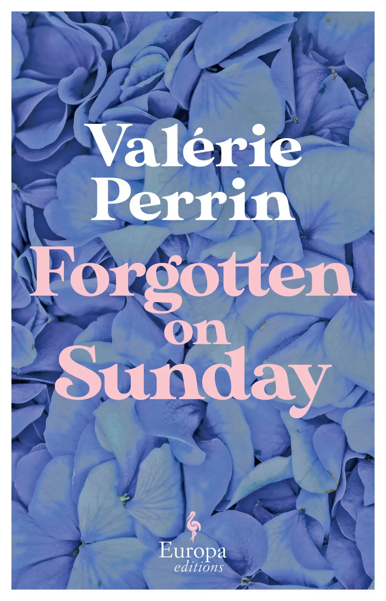 Cover: 9781787704770 | Forgotten on Sunday | Valerie Perrin | Taschenbuch | Englisch | 2023