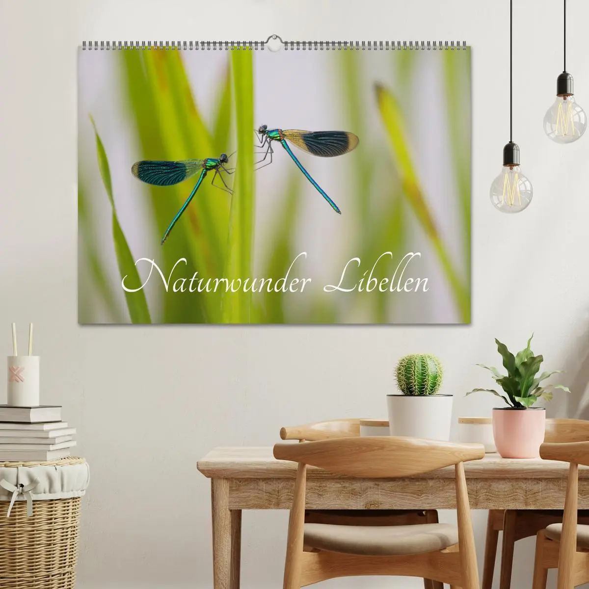 Bild: 9783516234770 | Naturwunder Libellen (Wandkalender 2026 DIN A2 quer), CALVENDO...