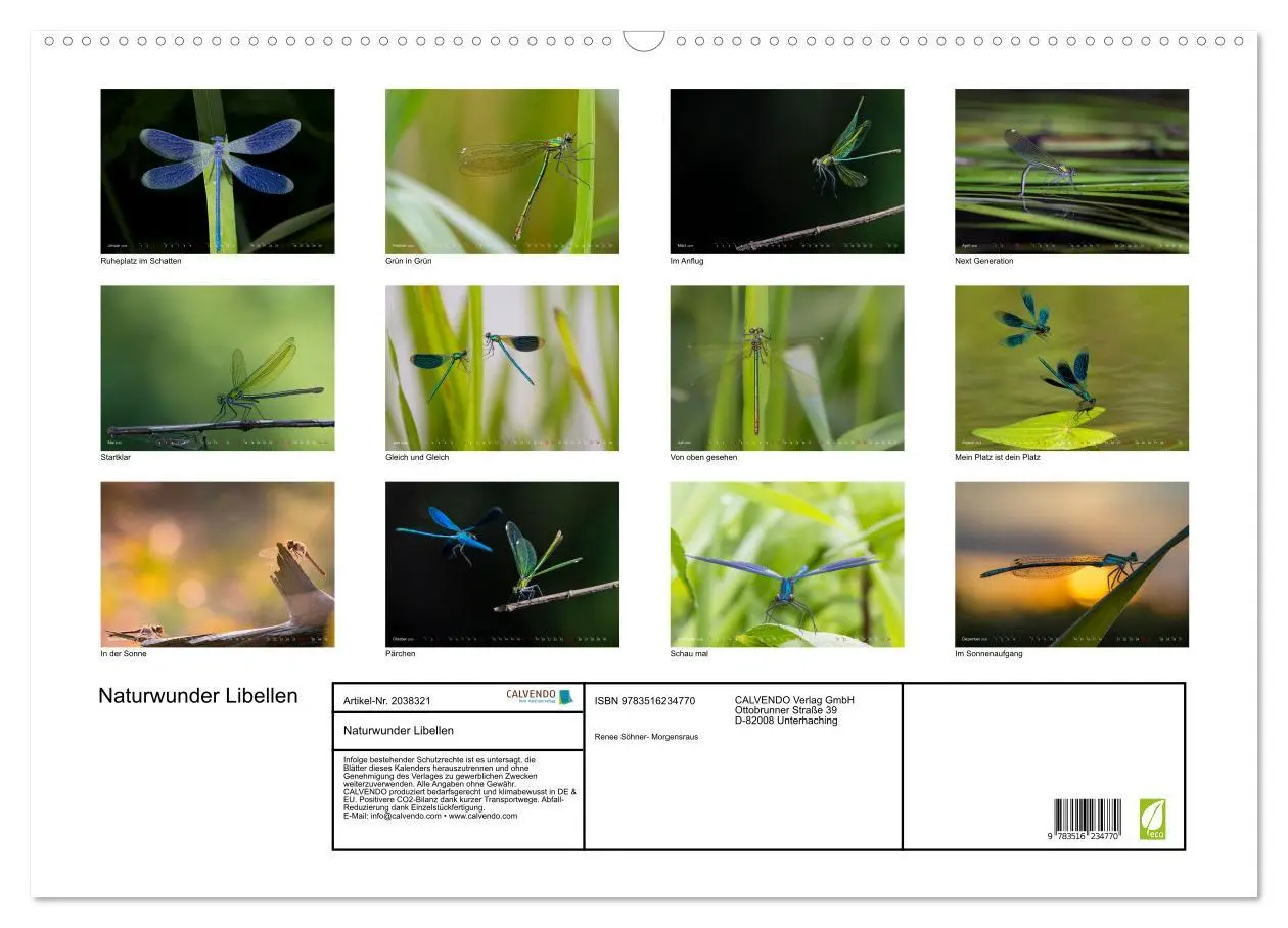 Bild: 9783516234770 | Naturwunder Libellen (Wandkalender 2026 DIN A2 quer), CALVENDO...
