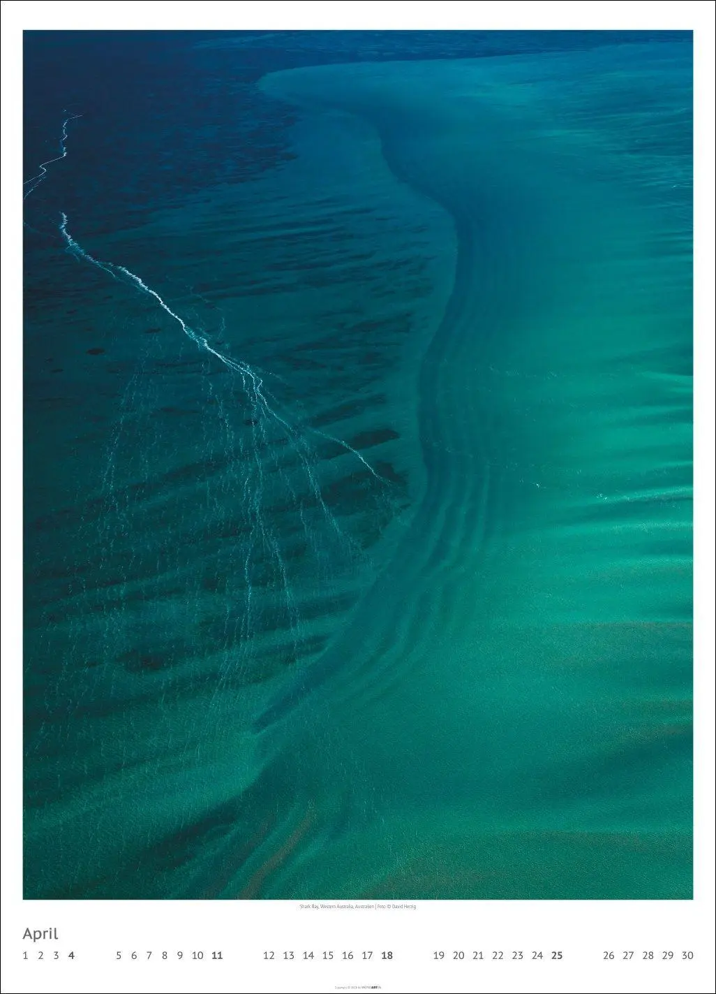Bild: 9783839904770 | Art of Nature 2027 | David Herzig | Kalender | 14 S. | Deutsch | 2027