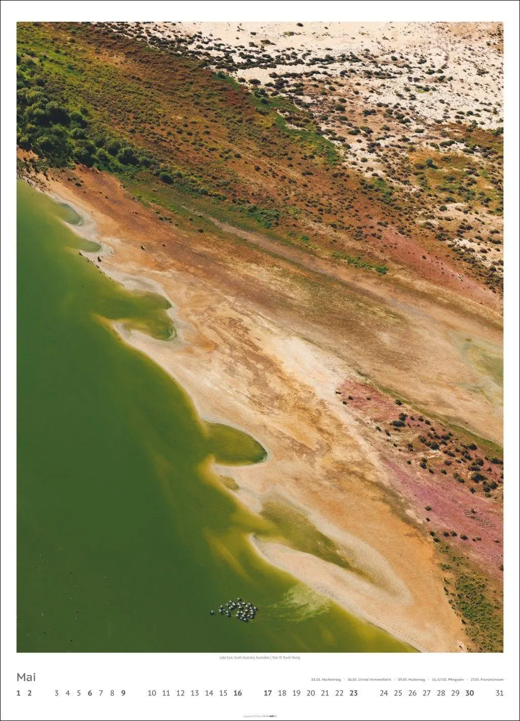 Bild: 9783839904770 | Art of Nature 2027 | David Herzig | Kalender | 14 S. | Deutsch | 2027