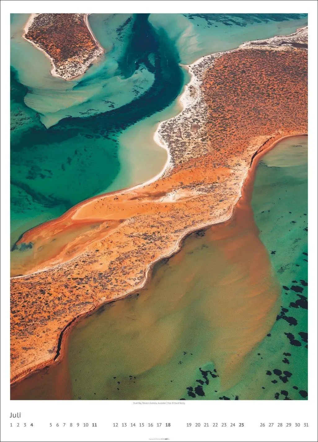 Bild: 9783839904770 | Art of Nature 2027 | David Herzig | Kalender | 14 S. | Deutsch | 2027