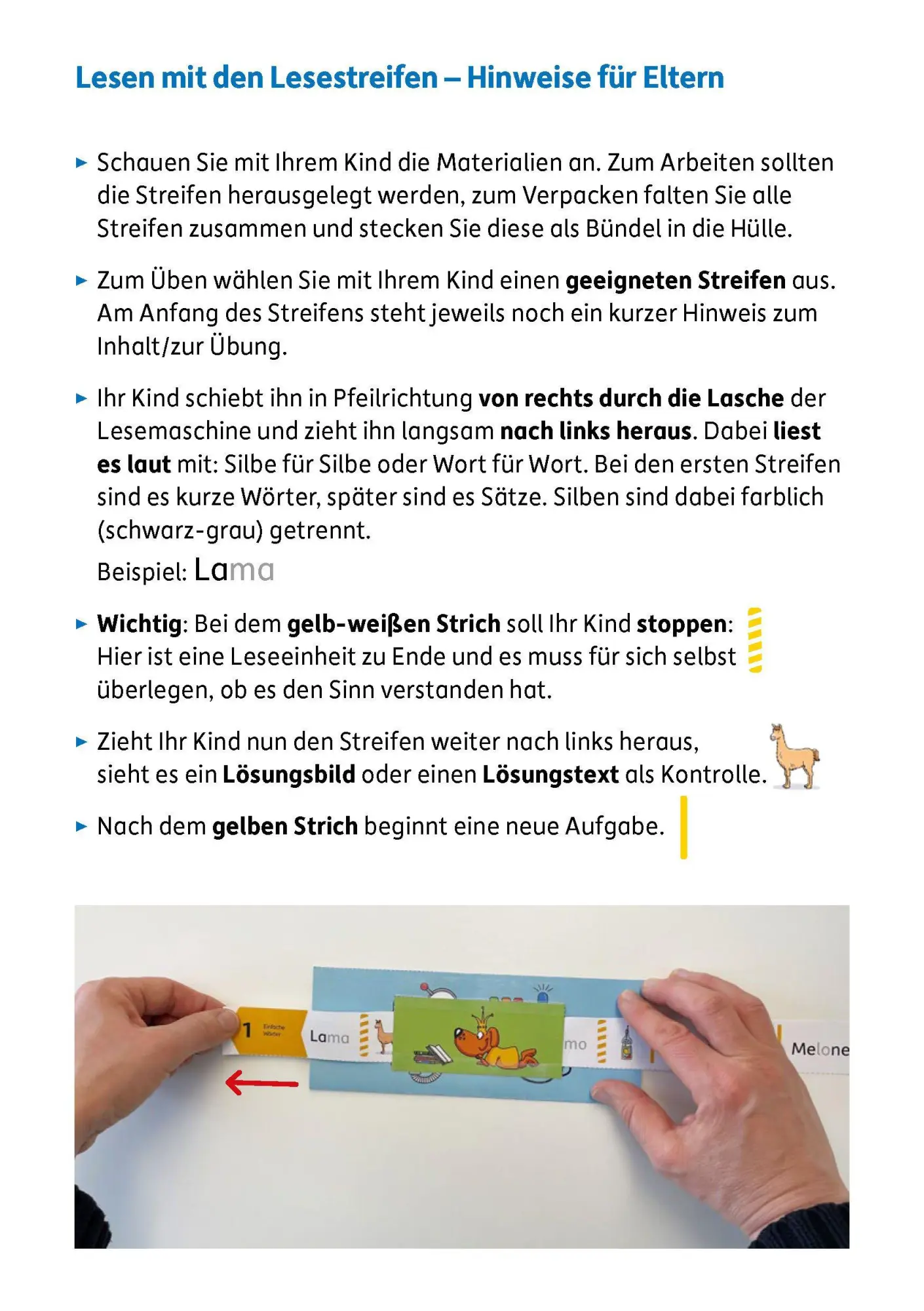 Bild: 9783881004770 | Meine Übungsstreifen Lesen lernen - 1. Klasse: Wörter und Sätze | 2026