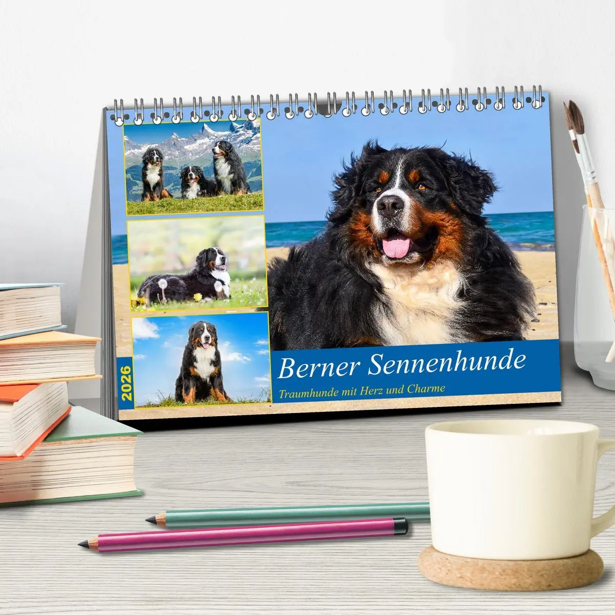 Bild: 9783457514870 | Berner Sennenhunde - Traumhunde mit Charme (Tischkalender 2026 DIN...