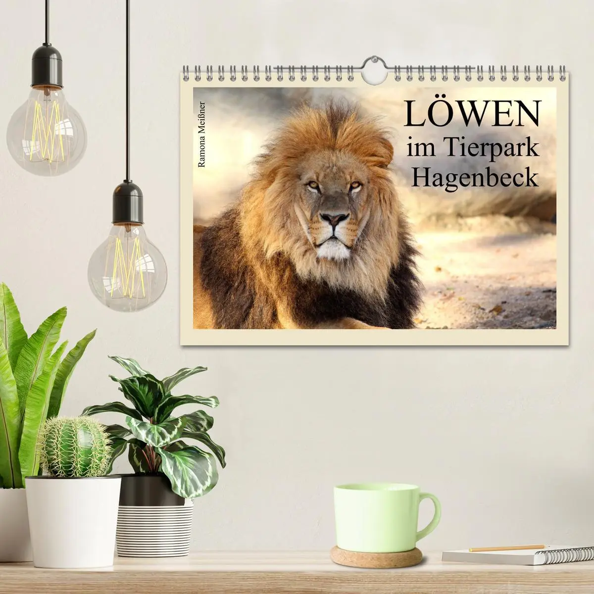 Bild: 9783516224870 | Löwen im Tierpark Hagenbeck (Wandkalender 2026 DIN A4 quer),...
