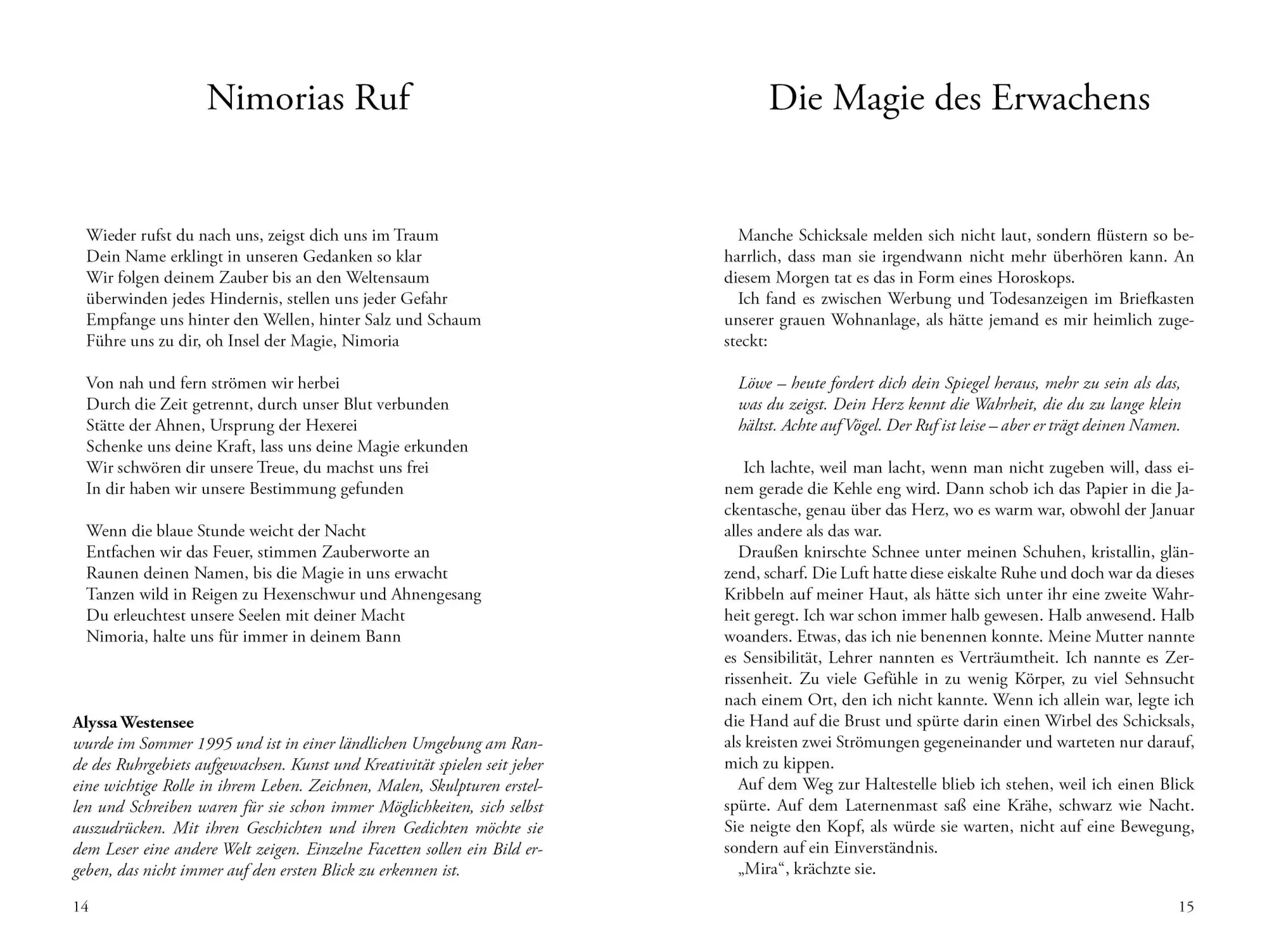 Bild: 9783990514870 | Nimoria - Die vergessene Insel der Magie | Thorsten E. Meier | Buch