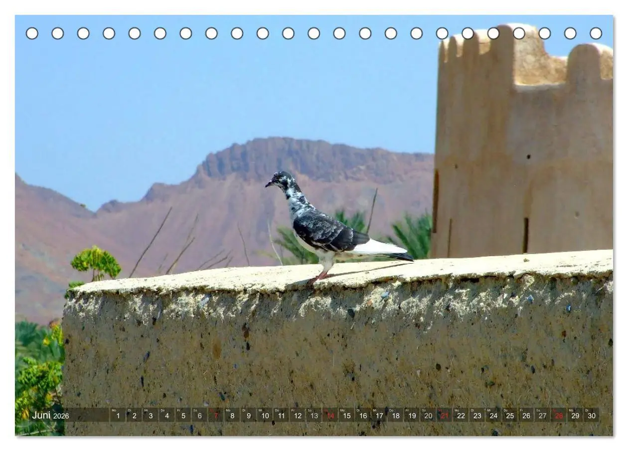 Bild: 9783516214970 | Oman - Eine Bilder-Reise (Tischkalender 2026 DIN A5 quer), CALVENDO...