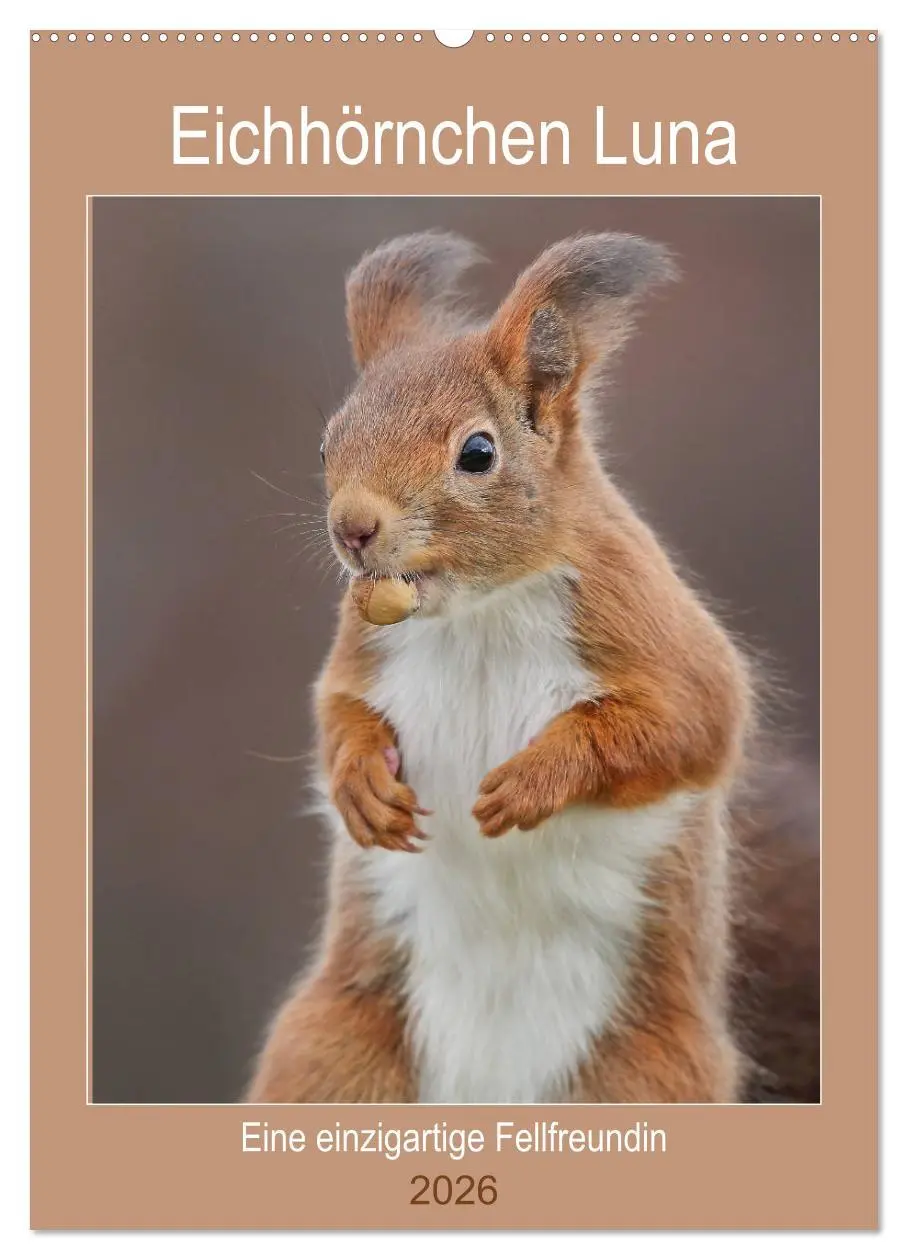 Cover: 9783516384970 | Eichhörnchen Luna (Wandkalender 2026 DIN A2 hoch), CALVENDO...