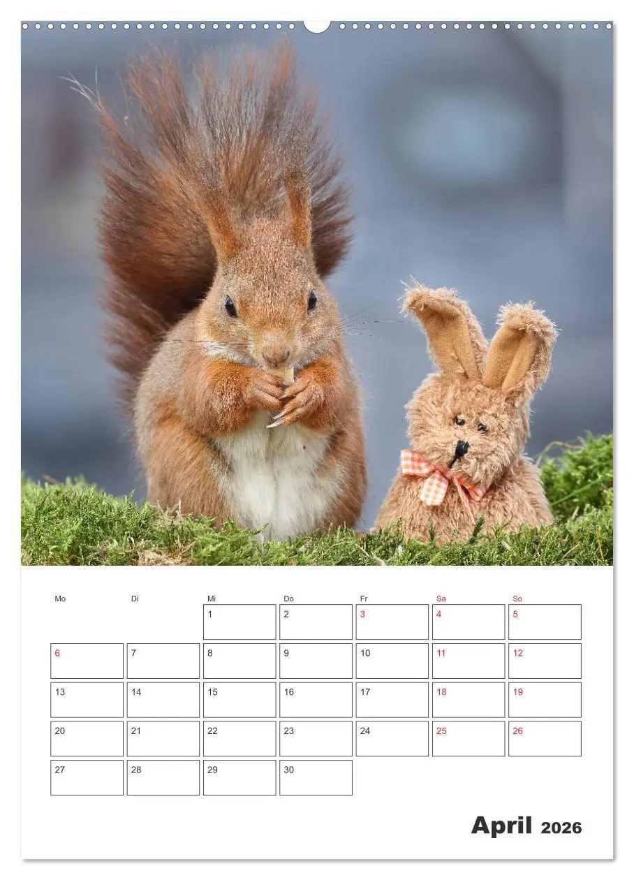 Bild: 9783516384970 | Eichhörnchen Luna (Wandkalender 2026 DIN A2 hoch), CALVENDO...