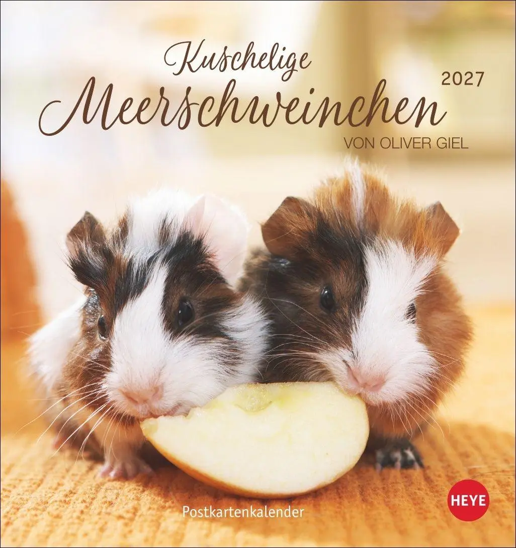 Cover: 9783756414970 | Kuschelige Meerschweinchen Postkartenkalender 2027 | Oliver Giel
