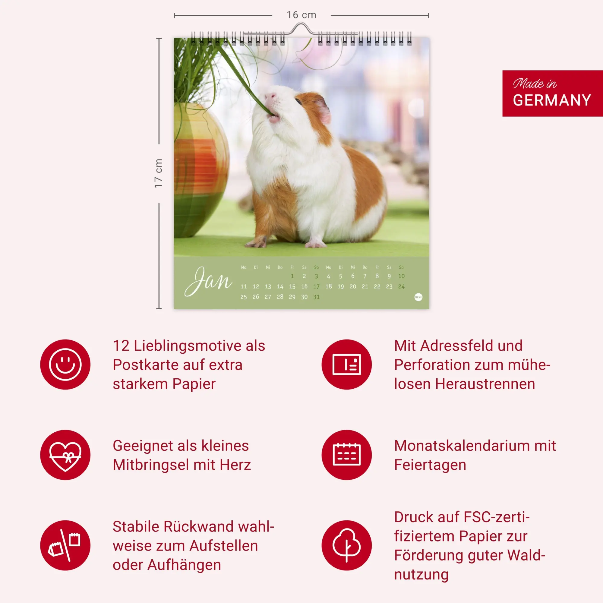 Bild: 9783756414970 | Kuschelige Meerschweinchen Postkartenkalender 2027 | Oliver Giel
