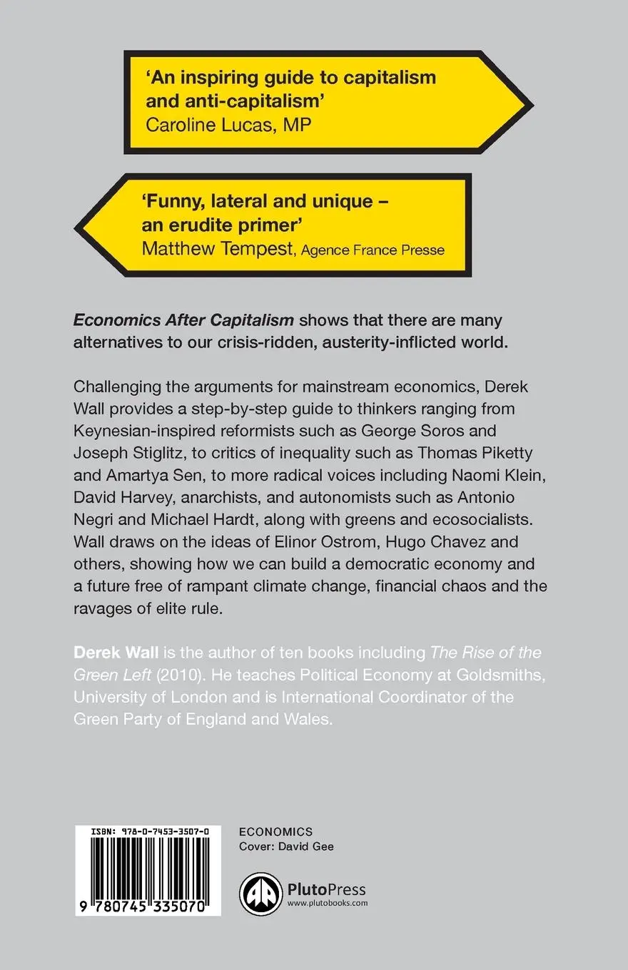 Rückseite: 9780745335070 | Economics After Capitalism | Derek Wall | Taschenbuch | Englisch
