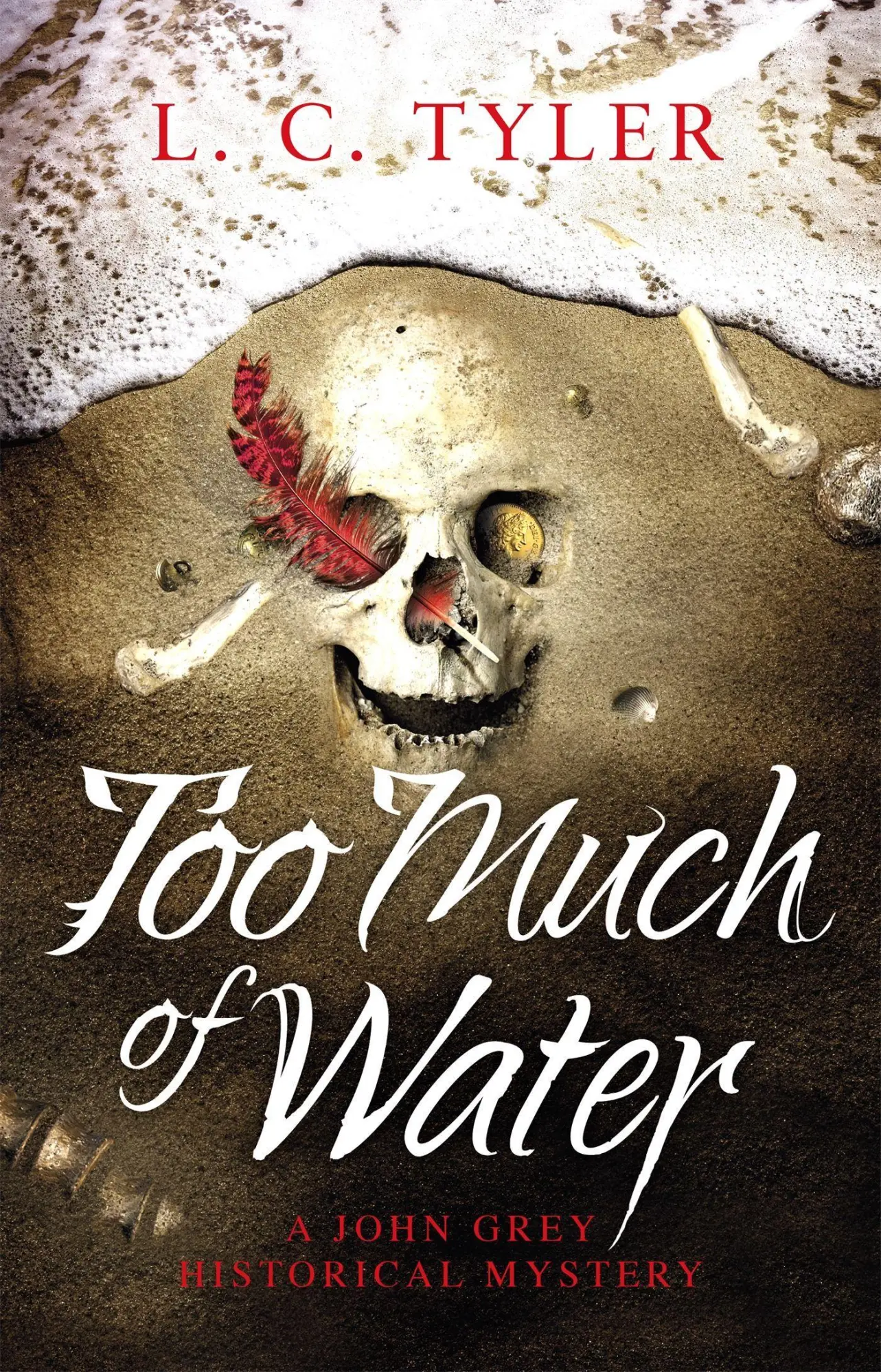 Cover: 9781472135070 | Too Much of Water | a gripping historical crime novel | L C Tyler