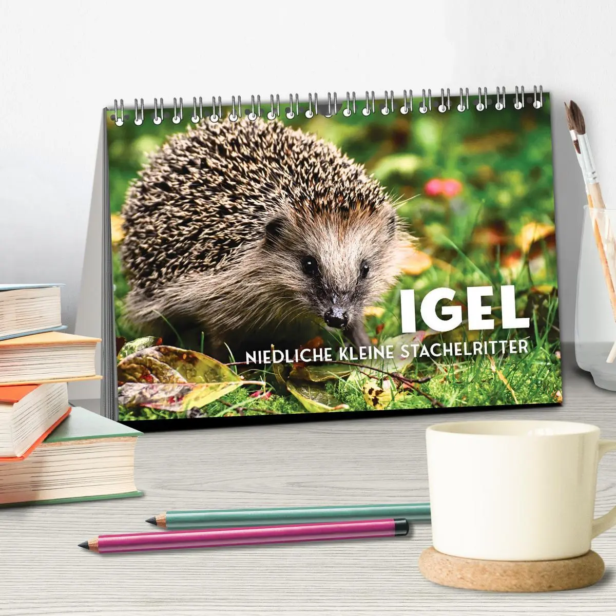 Bild: 9783457565070 | Igel - Niedliche kleine Stachelritter (Tischkalender 2026 DIN A5...