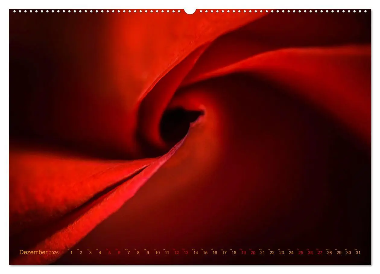 Bild: 9783457635070 | DEEP INSIDE - Blütenmakros (Wandkalender 2026 DIN A2 quer),...