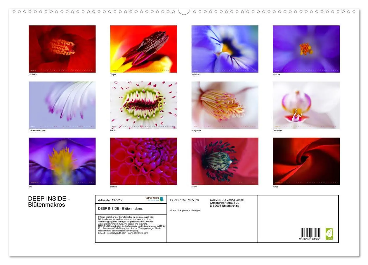 Bild: 9783457635070 | DEEP INSIDE - Blütenmakros (Wandkalender 2026 DIN A2 quer),...